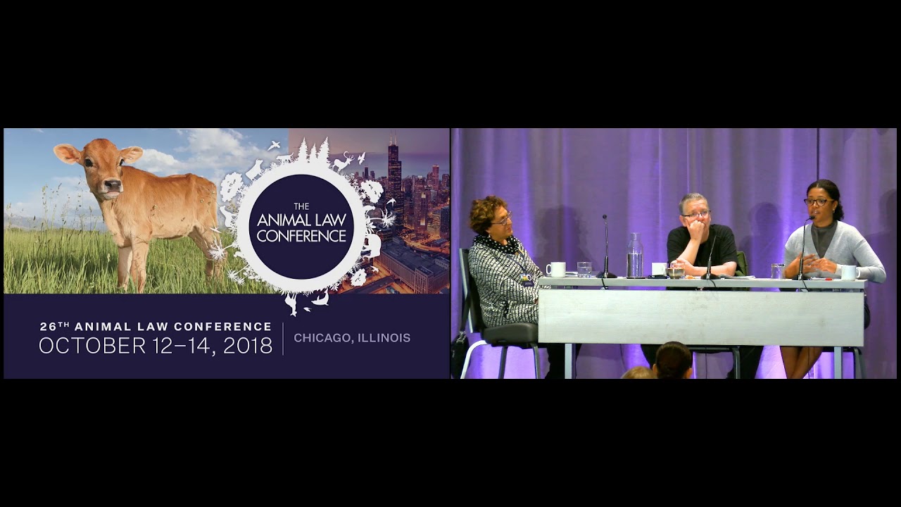 In Search of Race and Gender Diversity in Animal Law: Finding Workable Approaches