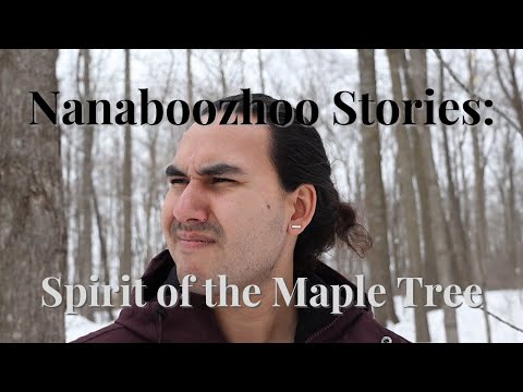 Nanaboozhoo Stories | Nanaboozhoo and the spirit of the Maple Tree
