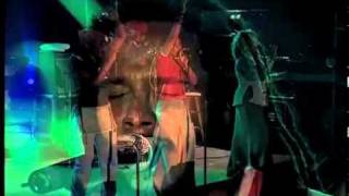 Ziggy Marley & The Melody Makers  - "Higher Vibrations"