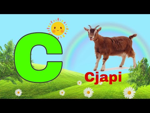 🇦🇱 Alfabeti Shqip 🇦🇱