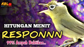 Download lagu CIAK CIAK JOSS KECIAL KUNING AMPUH||PANCINGAN KECIAL MALAS BUNYI|| mp3 Download lagu CIAK CIAK JOSS KECIAL KUNING AMPUH||PANCINGAN KECIAL MALAS BUNYI|| mp3