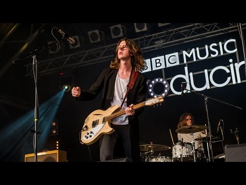 Blossoms - Charlemagne
