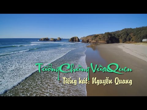 Tưởng chừng vừa quen Sheet - Nguyễn Quang