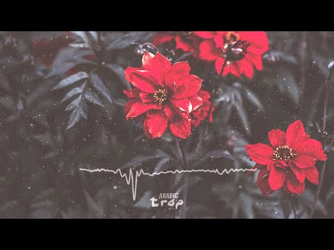 FG - KOKAINA (feat Linda Bajrami)