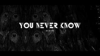 Goldfrapp: You Never Know (Múm Mix)