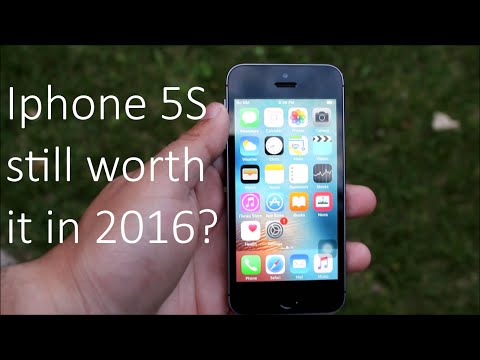 Is the iphone 5S still worth it in 2016? (+ Cute little baby raccoon!) Video
