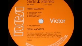 Fresh Maggots (Side 1) 1971 UK LP Incredibly Rare 1st Ever Issue `Acid Folk` £1000+