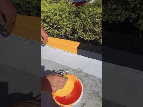 Black yellow stripes