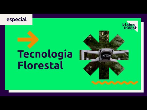 O que é e como funciona a tecnologia florestal?