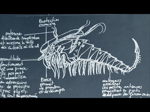 Wiki Aliens : Vos Créations #1