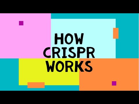 How CRISPR works