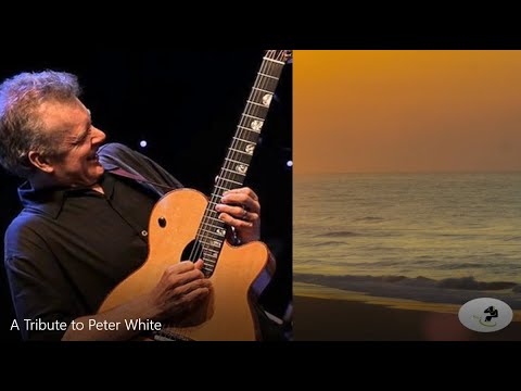 A Tribute to Peter White megaMix by Bobby D