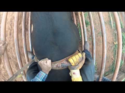 Treino na fazenda do Marcio indio