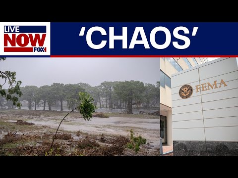 Video | Texas flooding response: Head of FEMA search and rescue unit resigns, report says | LiveNOW from FOX