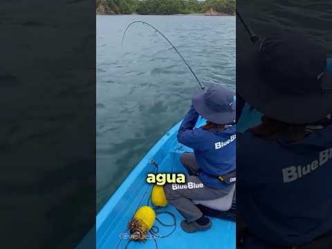Por qué los pescadores le tienen miedo a esto?