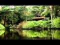 MEDITATION ZEN RELAX MUSIC Sleep Music Relaxing Song 3gp