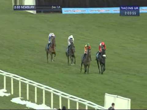 2012 Sportingbet Long Distance Hurdle - Big Buck's