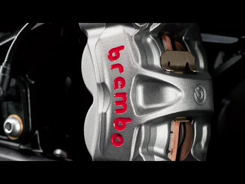 Ninja H2: Vol.21 Top-quality Components