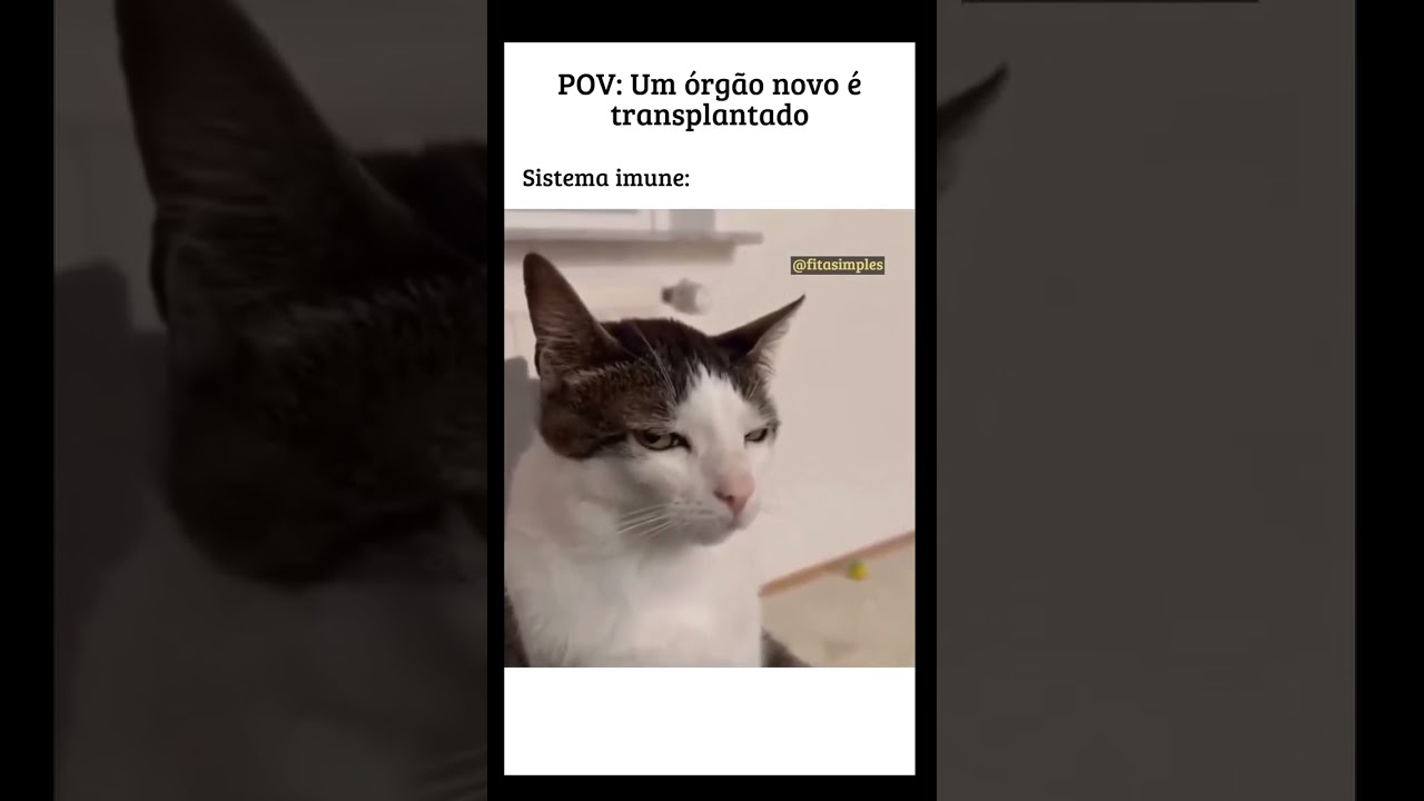 Um órgão novo é transplantado....