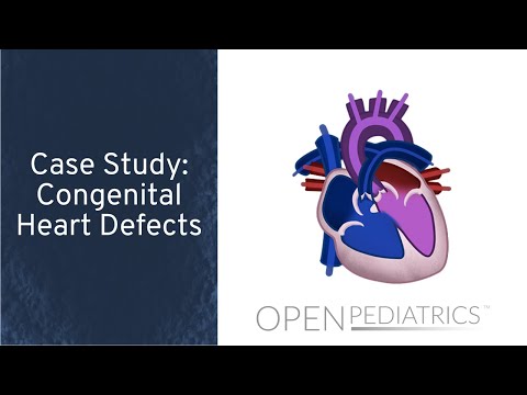 A Tiny Heart Case Study
