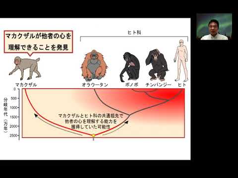【医学部医学科】【最新研究紹介】（神経生理学）