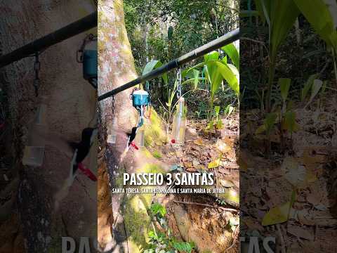 PASSEIO 3 SANTAS: SANTALEOPOLDINA, SANTA TERESA E SANTA MARIA DE JETIBÁ! #shorts #capixaba