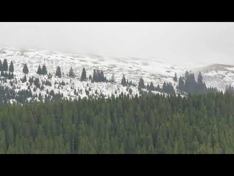 LACUL BOLBOCI -CABANA BOLBOCI- OCT 2017