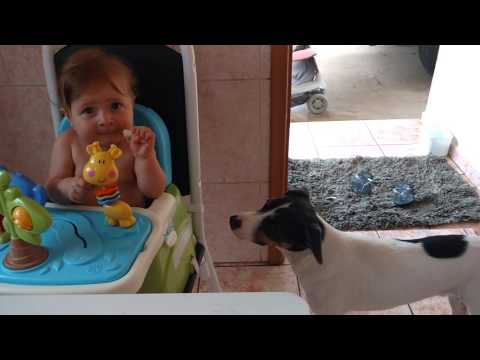 Bebê be seu cachorro