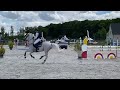 Hengst Franse rijpony PFS Te koop 2012 Koffie vos ,  LINARO SL