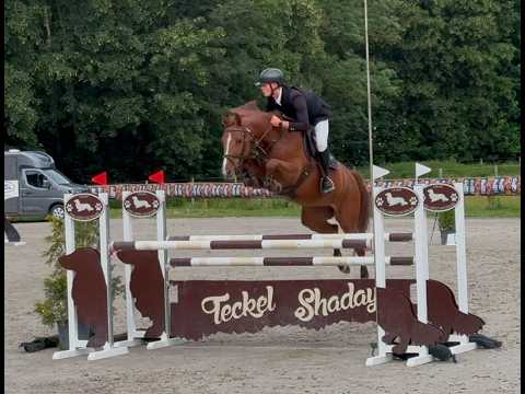 half sister HOPPY CAVA Z (v. Hercules) 