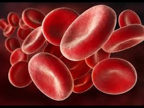 Bestrahlung bei Prostatakrebs Entschlüsselungs dog Prostata-