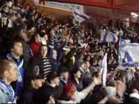 Ambrifans chi non salta