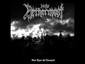 Into the Nethermost - Revenant 