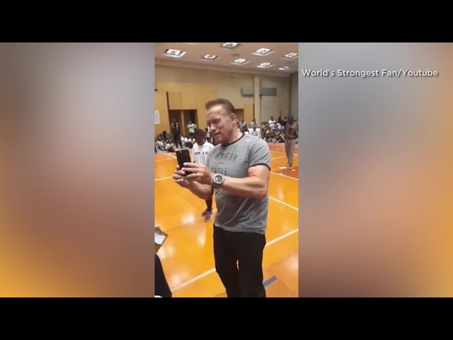 Arnold Schwarzenegger assaulted during event in South Africa