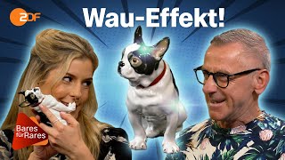 Weißes Gold gewittert: Für Bulldogge von Meissen nimmt Händlerrunde die Fährte auf | Bares für Rares