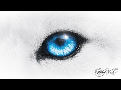 1ST - ลีลาวดี FT. 2T FLOW, K6Y (Official Visualizer) WOLF CUB ALBUM