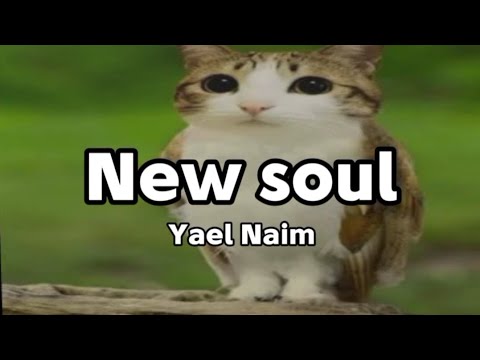 Meowl/New soul - Yael Naim/lyrics (eng/esp)