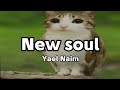 Meowl New Soul Yael Naim Lyrics Eng Esp