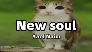 Meowl/New soul - Yael Naim/lyrics (eng/esp)