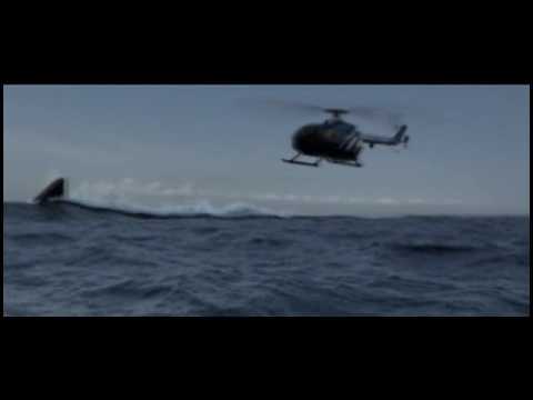 The Shark from Hell - MEG - MUST SEE