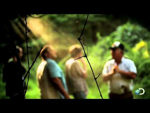 Special Brand of Outlaw | Dixie Mafia