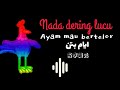 Nada Dering Lucu Ayam Betina