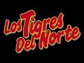 Los Tigres Del Norte - El Cura