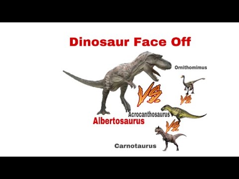 Dinosaur Face Off Albertosaurus vs Ornithomimus vs Acrocanthosaurus vs Carnotasurus