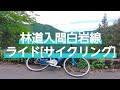 林道入間白岩線ライド サイクリング 奥多摩