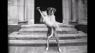 Esmee Denters &amp; The New Velvet - Hey Lady