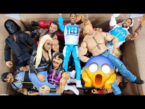 GROSSE BOX VOLLER INDIVIDUELLER WWE-ACTIONFIGUREN