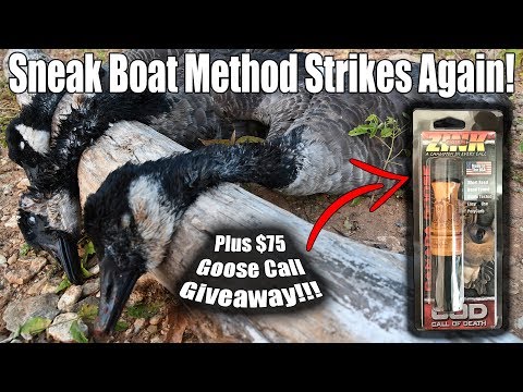 we-paddled-sneak-boat-style-into-a-big-group-of-honkers--canada-goose-hunt-ky-2019