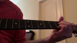 Video thumbnail for Martin Special Dreadnought Cutaway 11E Road Series by Dan Payne