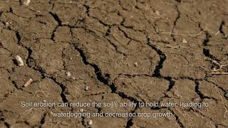 The Effects of Soil Erosion on Agricultural Productivity